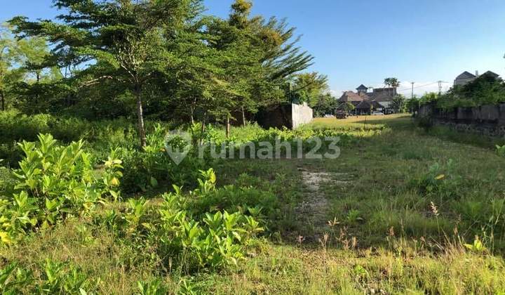 TANAH LOKASI PREMIUM JALAN UTAMA CENDRAWASIH PETITENGET SEMINYAK BALI TANAH LOKASI PREMIUM JALAN UTAMA CENDRAWASIH PETITENGET SEMINYAK BALI