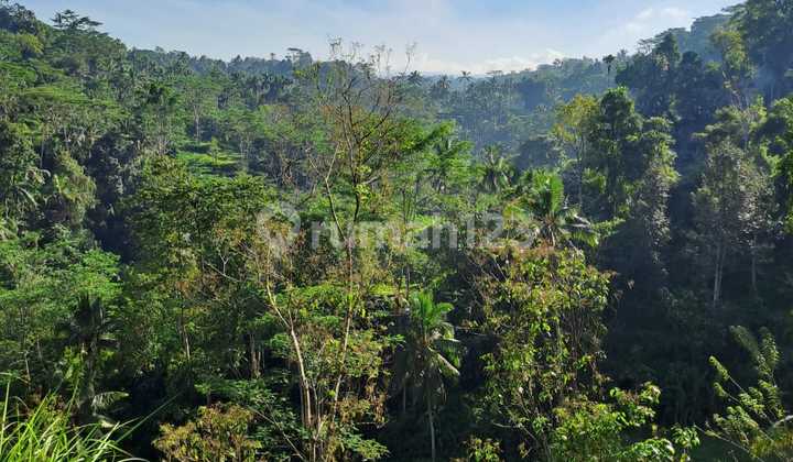 Tanah Luas di Petanu River and Waterfall Tampaksiring Ubud Bali