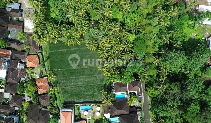 Land For Rent Leasehold Located in Ubud Centre Land For Rent Leasehold Located in Ubud Centre