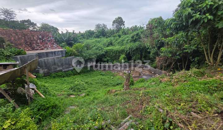 For Sale Land Only 100 Mtr To The Beach In Saba Bali For Sale Land Only 100 Mtr To The Beach In Saba Bali