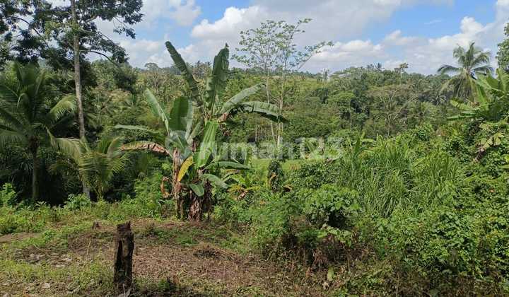 Tanah Indah Luas di Pinggiran Sungai Penatahan Tabanan Bali