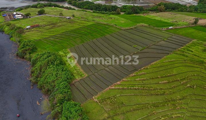 Tanah Loss pantai kelanting Bali Lokasi Kawasan Tenang dan kawasan akan berkembang