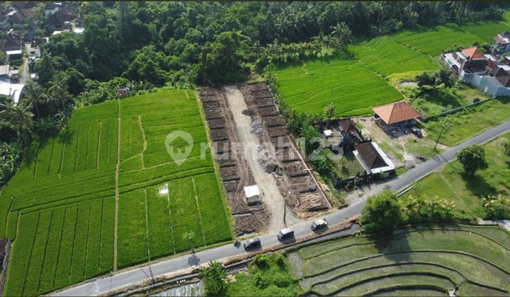 Dijual Rumah Baru Murah di Senapahan Tabanan  2