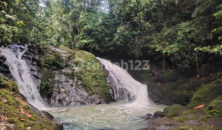 Tanah Sebelah Air Terjun Los Sungai di Selemadeg Tabanan Bali Tanah Sebelah Air Terjun Los Sungai di Selemadeg Tabanan Bali