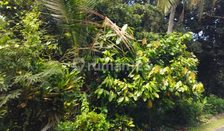 Tanah di Tabanan  Lokasi di Fireman bengkel sari Tabanan Bali