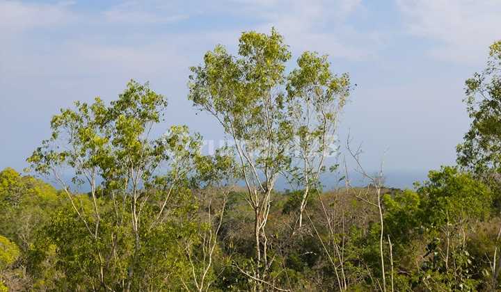 Dijual tanah ocean view yang jl utama bali cliff dekat Greenbowl Beach