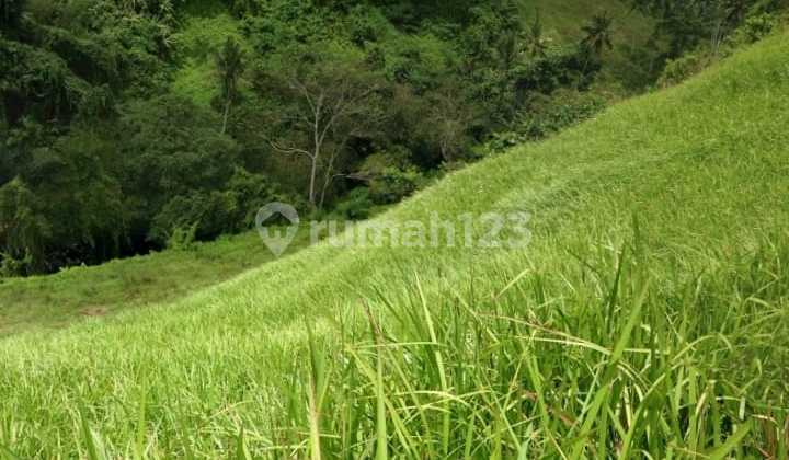 Land in Bangkiang Sidem Ubud near Monkey Forest Bali