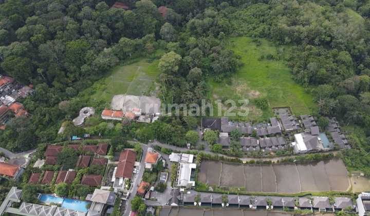 Affordable Land in Ubud Bali, Ideal for Investment, Villas, Resorts & Hotels