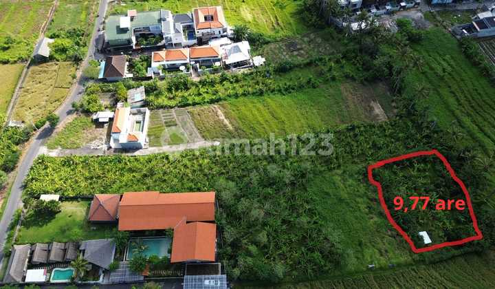 Tanah Lokasi di Pererenan Hanya 3 Menit ke Pantai Tanah Lokasi di Pererenan Hanya 3 Menit ke Pantai