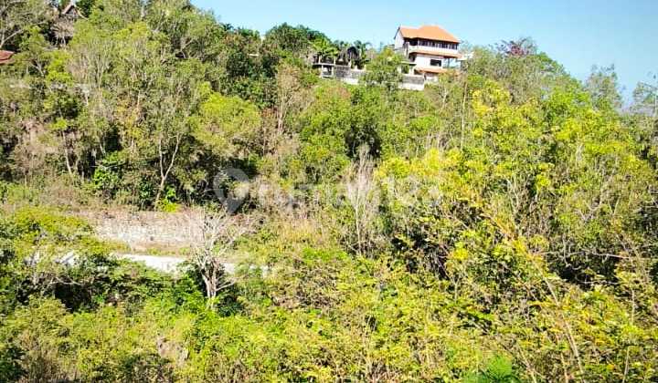 Tanah Bagus lokasi Pinggir Jalan Bali Cliff Ungasan dengan Lingkungan Villa dan View Laut Tanah Bagus lokasi Pinggir Jalan Bali Cliff Ungasan dengan Lingkungan Villa dan View Laut