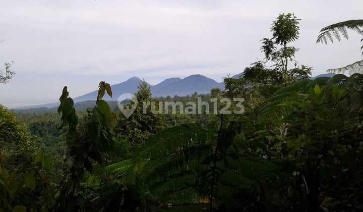 Exclusive Land Hidden Paradise on the Ayung River – Payangan, Buahan Ubud