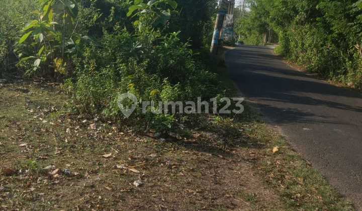 LAND FOR SALE PRIME LOCATION WALKING DISTANCE TO BALANGAN BEACH