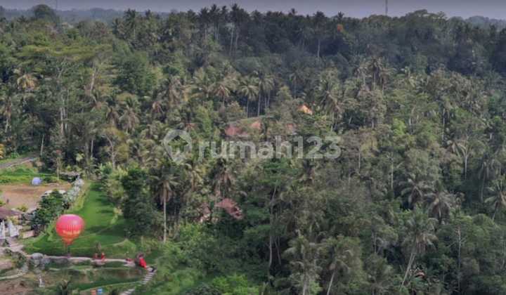Tanah Ubud Strategis Murah di Samping Happy Swing Bali Tegalalang