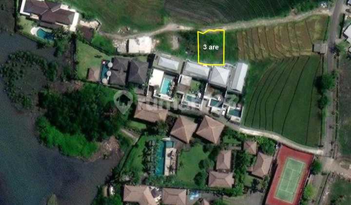 Di Jual Tanah Premium dan Langka di Pantai Pererenan Canggu Bali