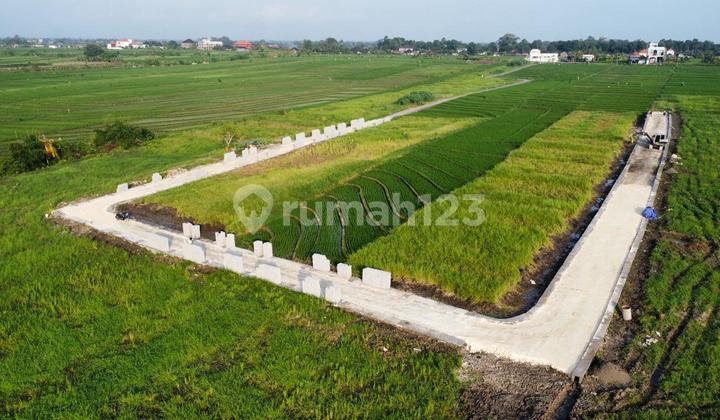 For Sale Exclusive Villa Plot at Kelating Beach, Kerambitan, Tabanan For Sale Exclusive Villa Plot at Kelating Beach, Kerambitan, Tabanan