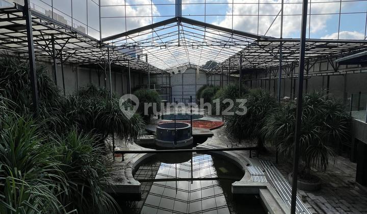 For Lease ex Night Club in Raya Legian Kuta Bali