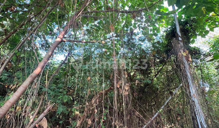 Jual Cepat Tanah di Dewi Sri Cocok Untuk Villa 2