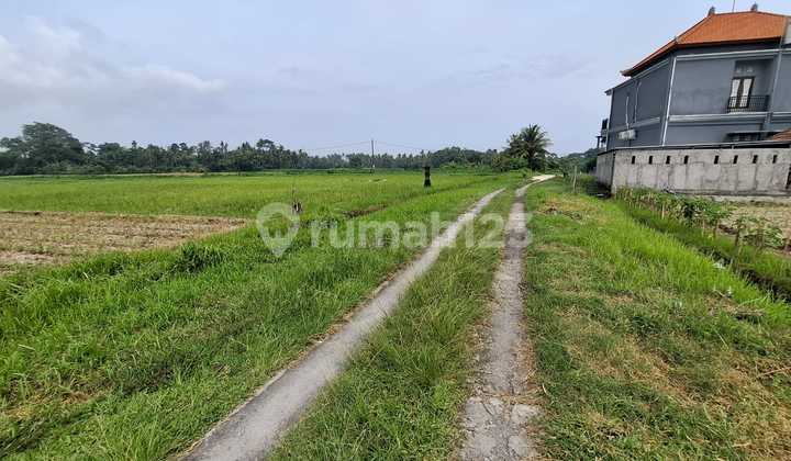 Land for Sale Near the Beach with Mountain View in Beraba Village, Tabanan Bali