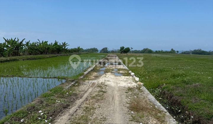 Tanah Premium Murah Strategis di Tabanan Bali