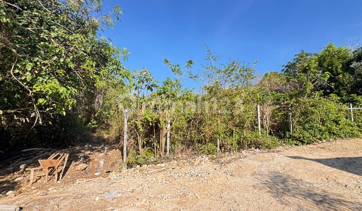 TANAH DIJUAL MURAH DIBAWAH PASAR DEKAT VILLA DANCING NUSA DUA BALI