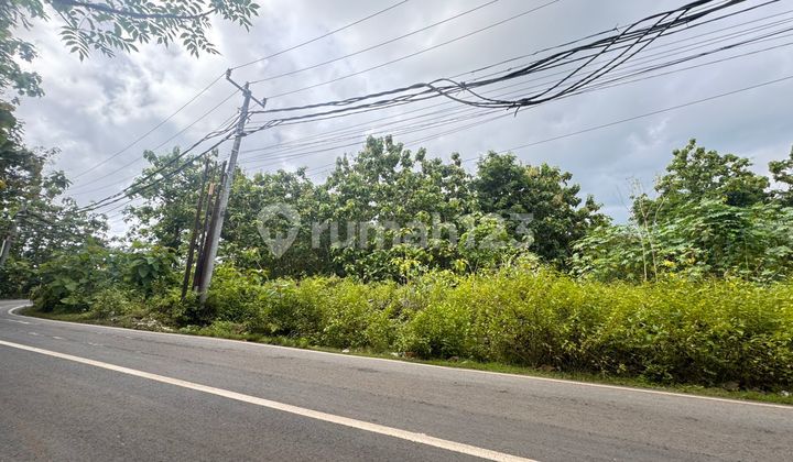 Land For Sale Freehold In Mainroad Prime Location Pantai Balangan Bali Land For Sale Freehold In Mainroad Prime Location Pantai Balangan Bali
