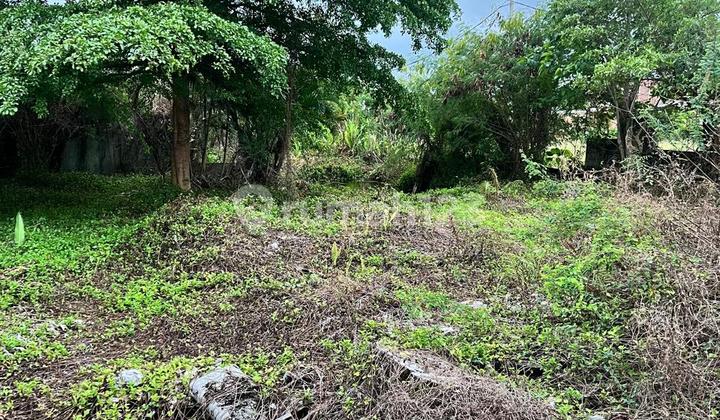 Tanah View Sawah Cocok untuk Villa di Jalan Pantai Berawa Tanah View Sawah Cocok untuk Villa di Jalan Pantai Berawa