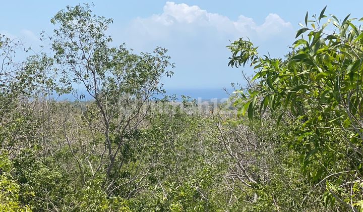 PREMIUM LAND TANAH DIJUAL MURAH OCEAN VIEW BALI