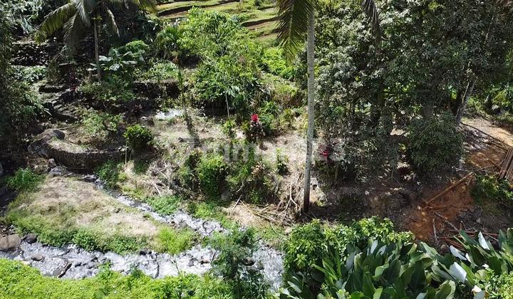 Tanah Los Sungai Ayung Ubud Lokasi Premium di Bali