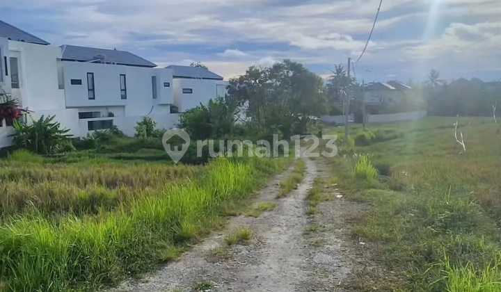 Tanah Premium Cocok untuk Investasi di Pantai Seseh Bali Tanah Premium Cocok untuk Investasi di Pantai Seseh Bali