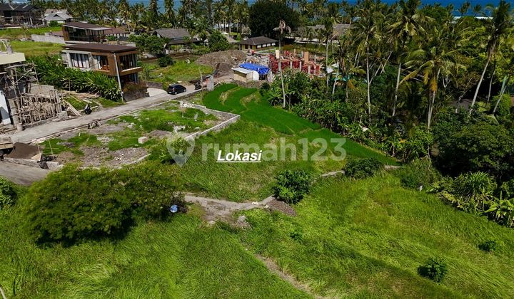 Tanah di Pantai Cemagi Lahan Data View Sawah dan Pantai Lokasi Sudah Kawasan Villa… Tanah di Pantai Cemagi Lahan Data View Sawah dan Pantai Lokasi Sudah Kawasan Villa…