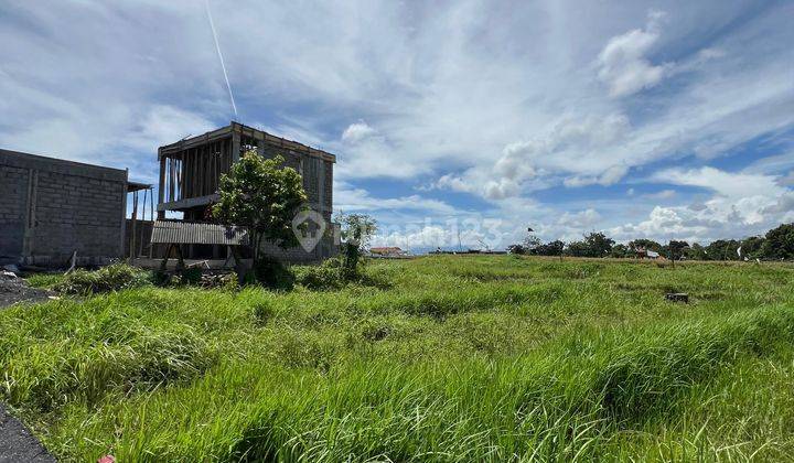 Dijual Tanah Kavling di Umalas Jalan Sudah di Aspal 2