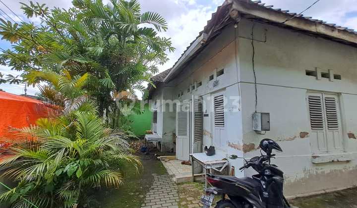 Rumah Asri di Solo Akses Segalanya, Lokasi 10/10, Harga Nego ! 2