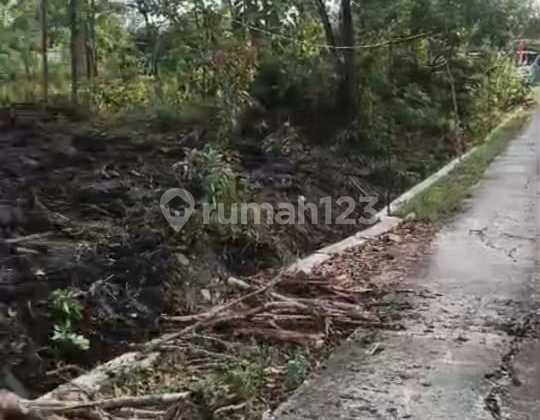 Wide Front Yard Land for Sale, 30 meters in width, in Masaran Sragen Wide Front Yard Land for Sale, 30 meters in width, in Masaran Sragen