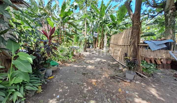 Lahan Pekarangan di Banjarsari Solo, Cocok untuk Usaha Kos