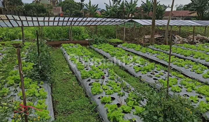 Lembang Lahan Darat Siap Bangun Lembang Lahan Darat Siap Bangun