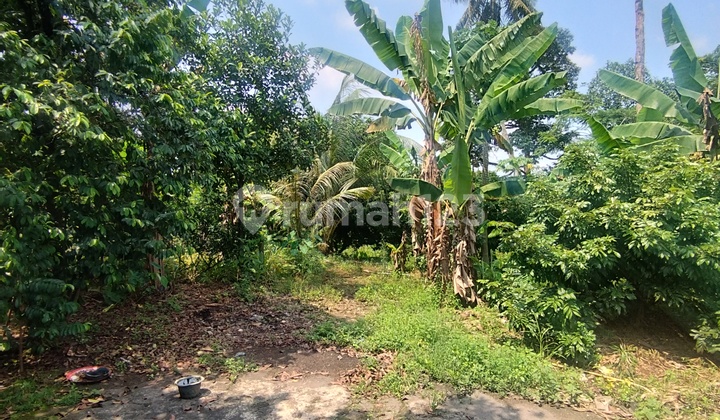 Commercial Plot Jl Raya Parung Bogor 4050m Certificate Tato Property
