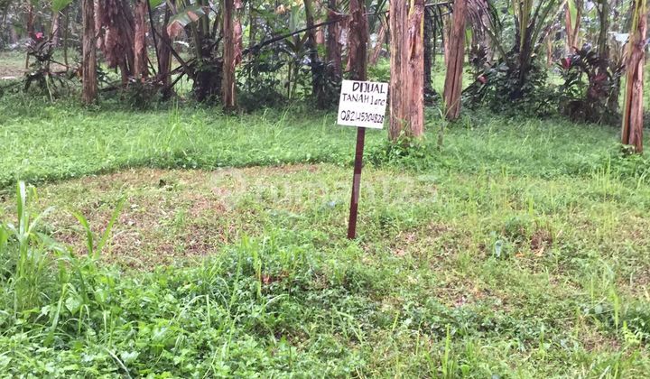 Dijual Cepat Tanah Kavling di Mengwi Badung Bali,Lokasi Strategis Dijual Cepat Tanah Kavling di Mengwi Badung Bali,Lokasi Strategis