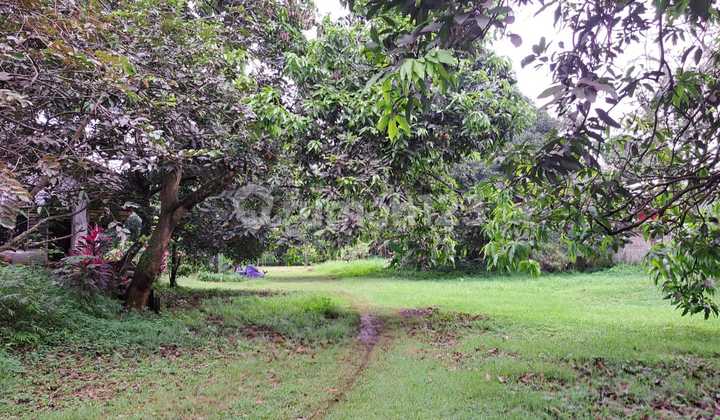 Good Land on Cibubur Alternative Road Good Land on Cibubur Alternative Road