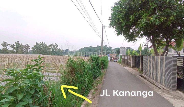 Tanah Bagus Pinggir Jalan Besar Di Kecamatan Pamijahan Bogor 2