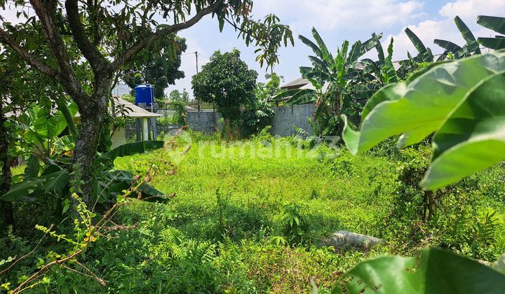 Tanah Bagus Di Ciapus Bogor