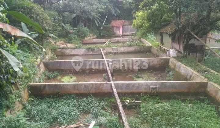 Land for Sale Plus Building Plus Natural Spring Plus Pond Plus Beautiful View in Cijeruk Land for Sale Plus Building Plus Natural Spring Plus Pond Plus Beautiful View in Cijeruk
