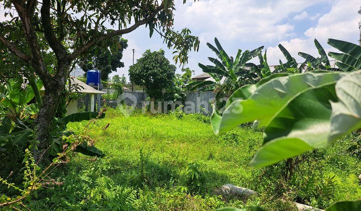 Tanah Bagus Di Ciapus Bogor