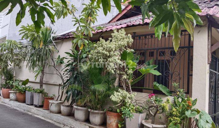 Rumah Tua Hitung Tanah Di Benhil Jakpus 1