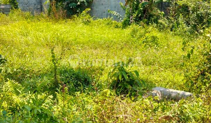 Potential Land for a Vacation Home Potential Land for a Vacation Home