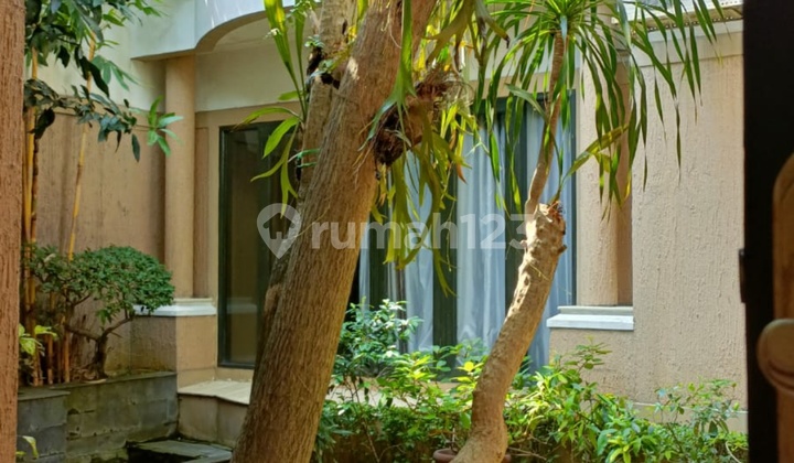 Rumah diPondok Indah harga 13M an jl.Bukit hijau ada parkiran Basement rumah siap huni.posisi kuldesak di Pondok Indah
Jl.bukit hijau