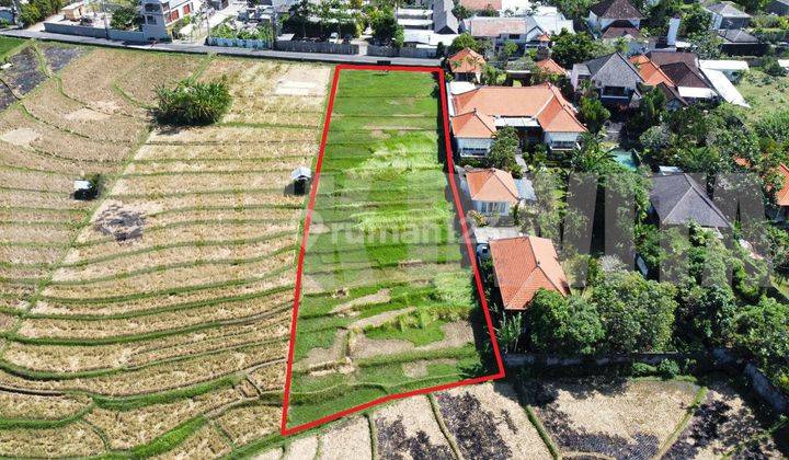 Land for sale in Umalas Bumbak Kerobokan with Rice Field View 2