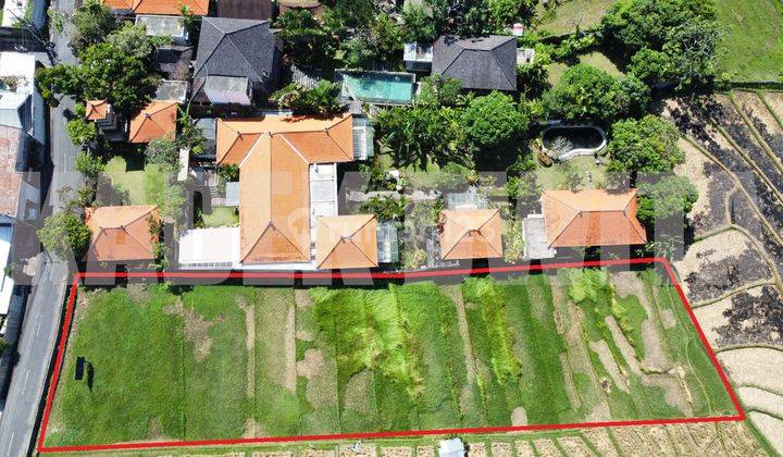 Land for sale in Umalas Bumbak Kerobokan with Rice Field View 1