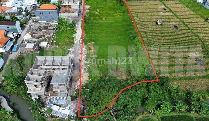 Disewakan Tanah Abasan Canggu Berawa View Sawah Los Sungai