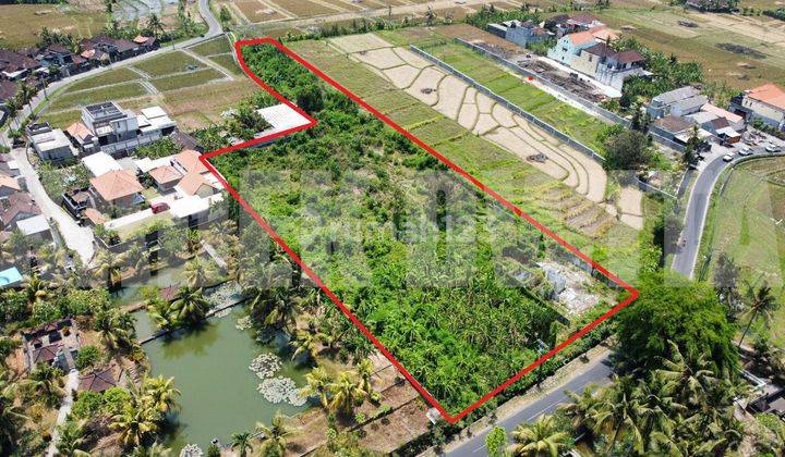 Dijual Tanah 5515 M2 Kaba Kaba Tabanan Dekat Munggu Seseh 1