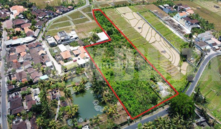 Dijual Tanah 5515 M2 Kaba Kaba Tabanan Dekat Munggu Seseh 2